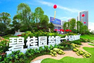 青县碧桂园爆料案件最新,揭秘背后惊人真相